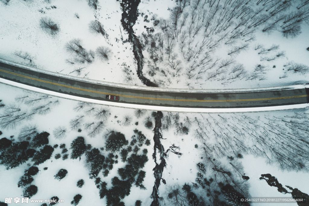 雪地