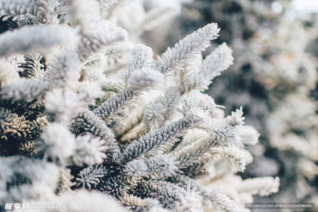 雪花