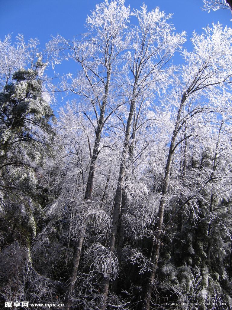 雪花