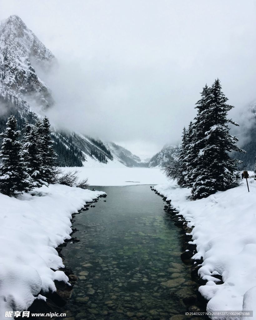 雪地