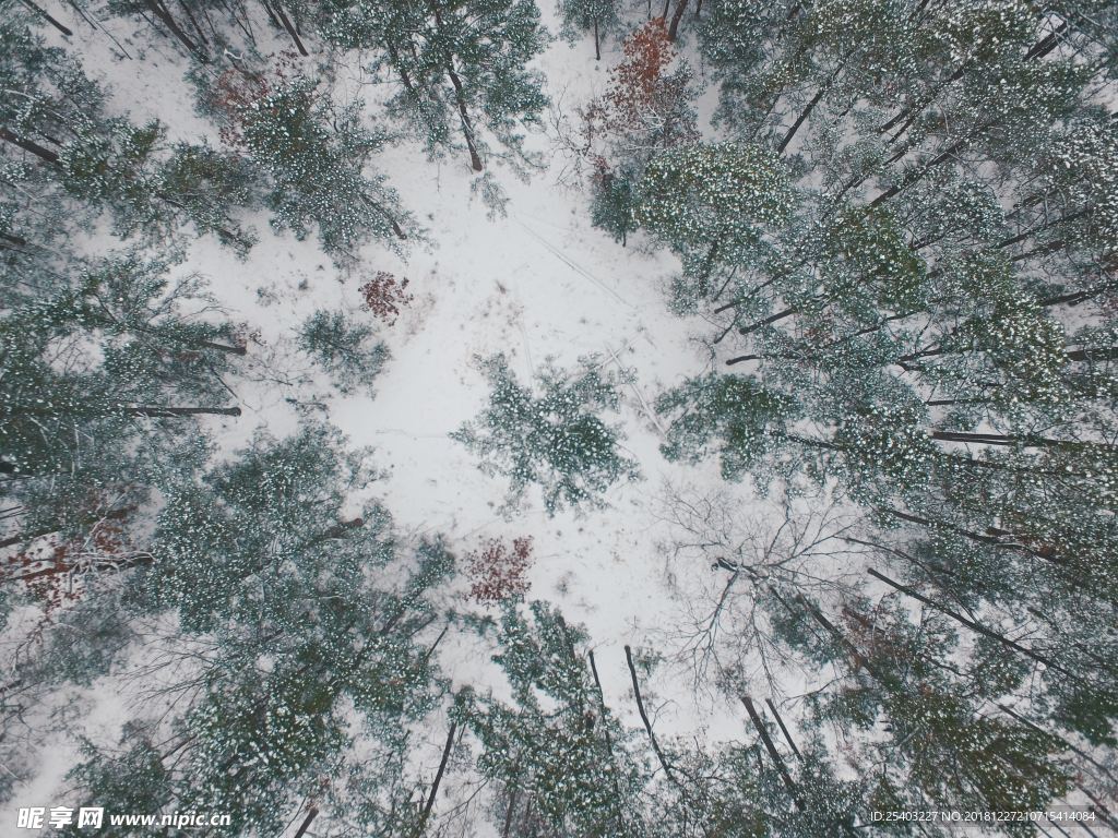 雪地