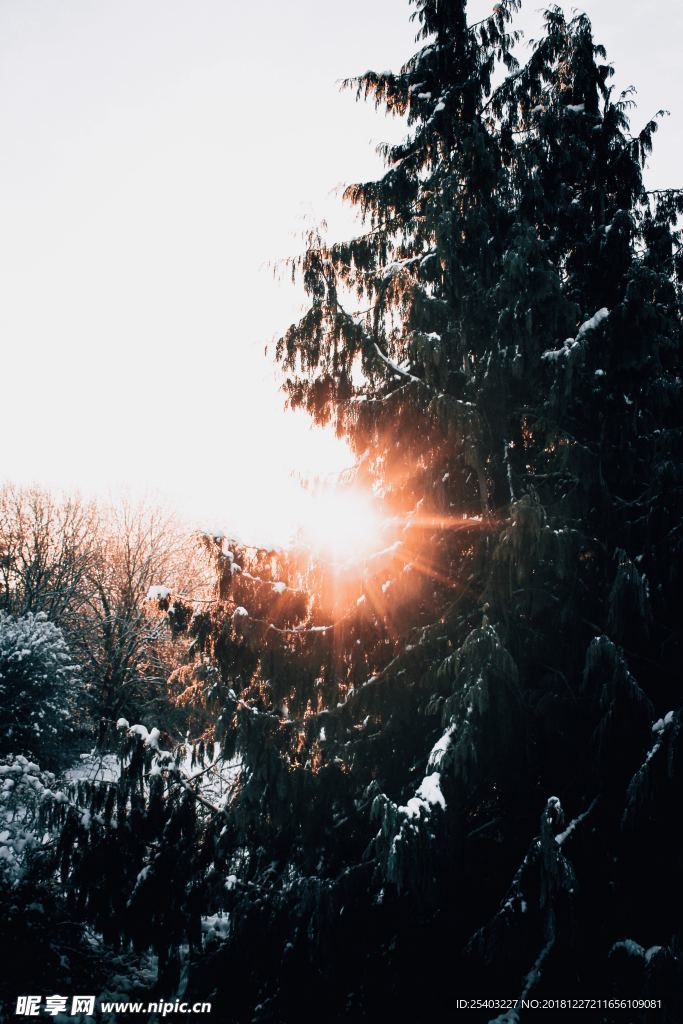 雪景