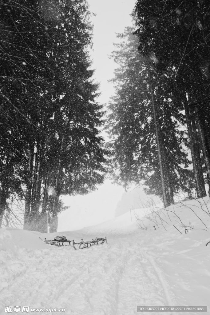雪地