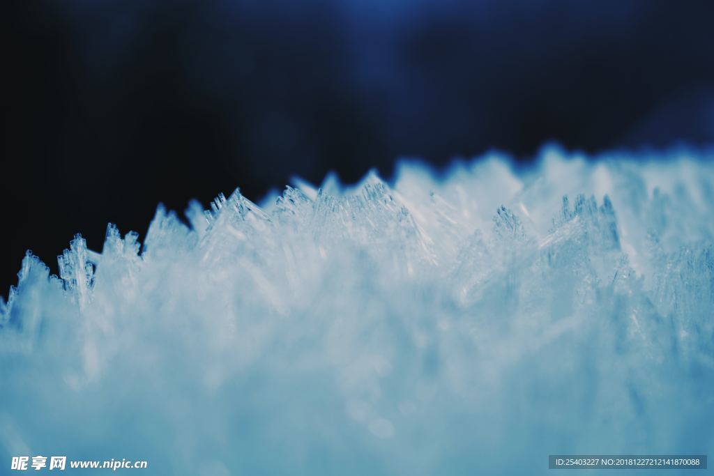 雪地