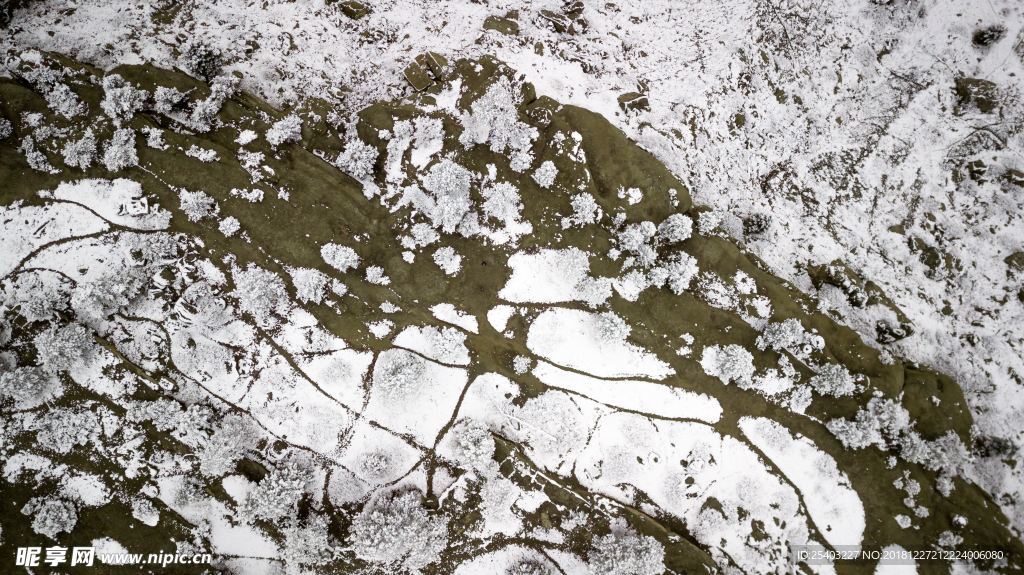 雪地