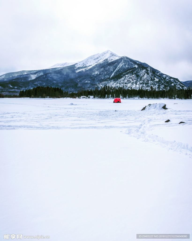 雪地