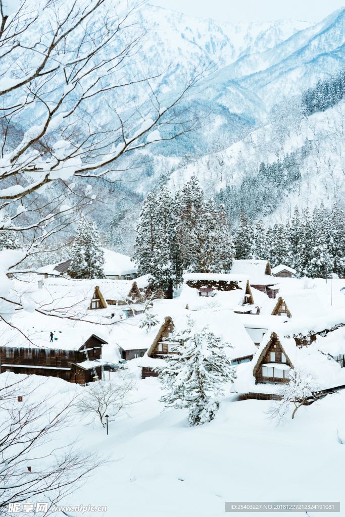 雪地