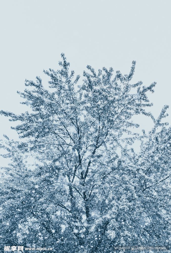 雪花