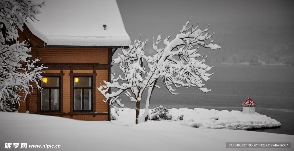 雪地