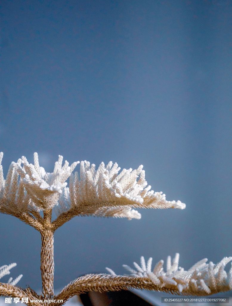 雪花