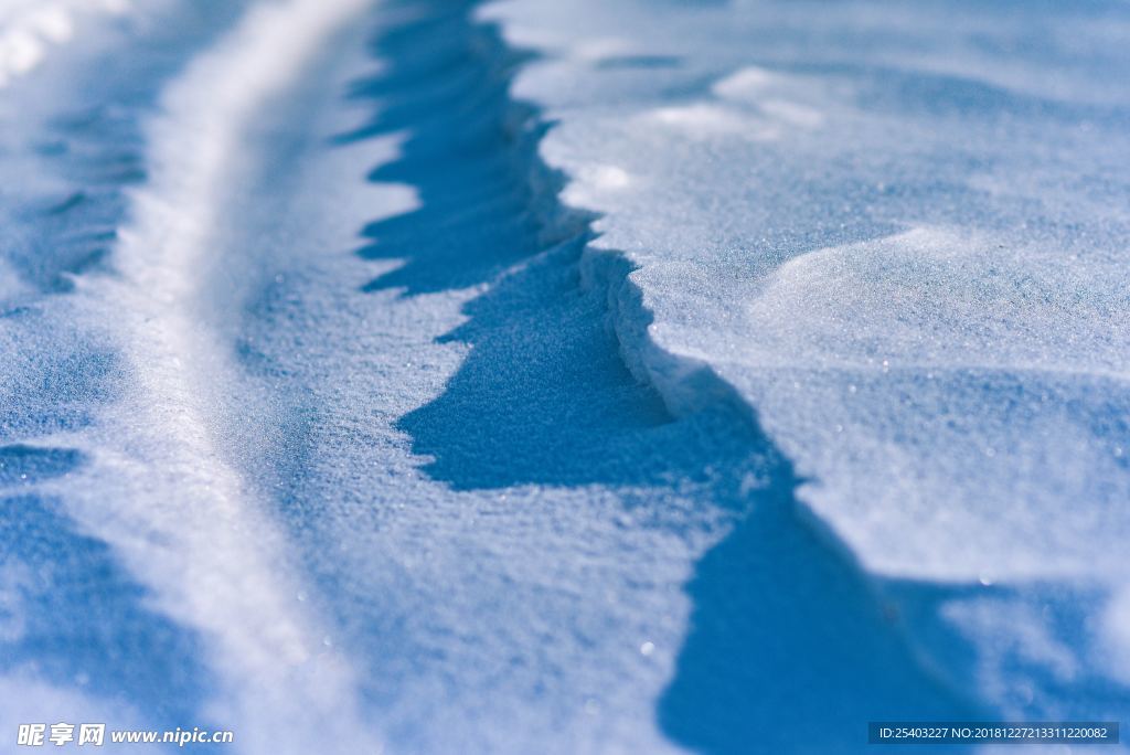 雪地