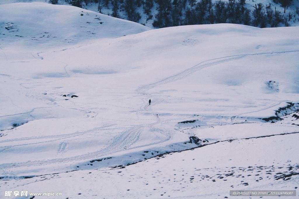 雪地