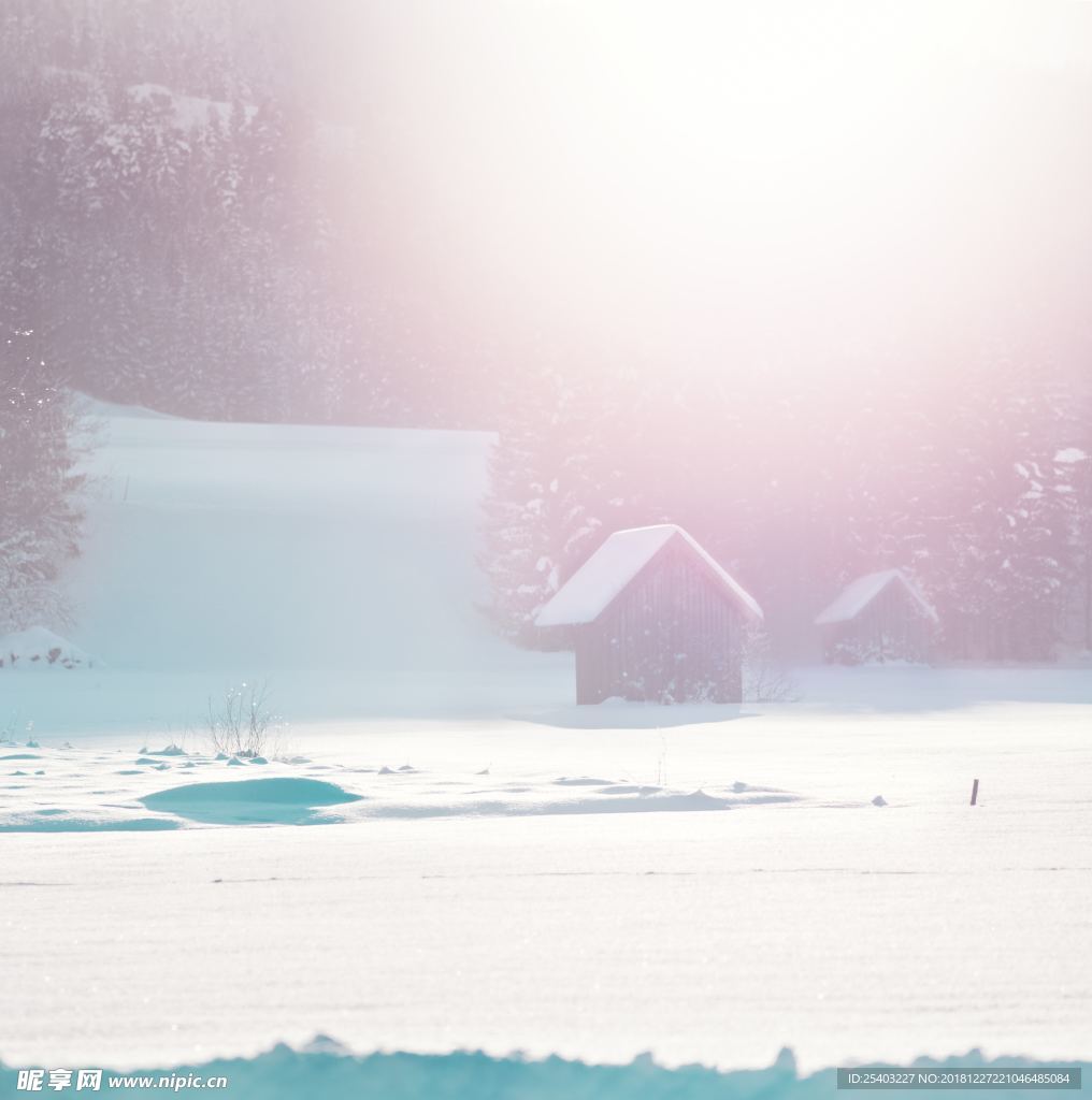 雪地