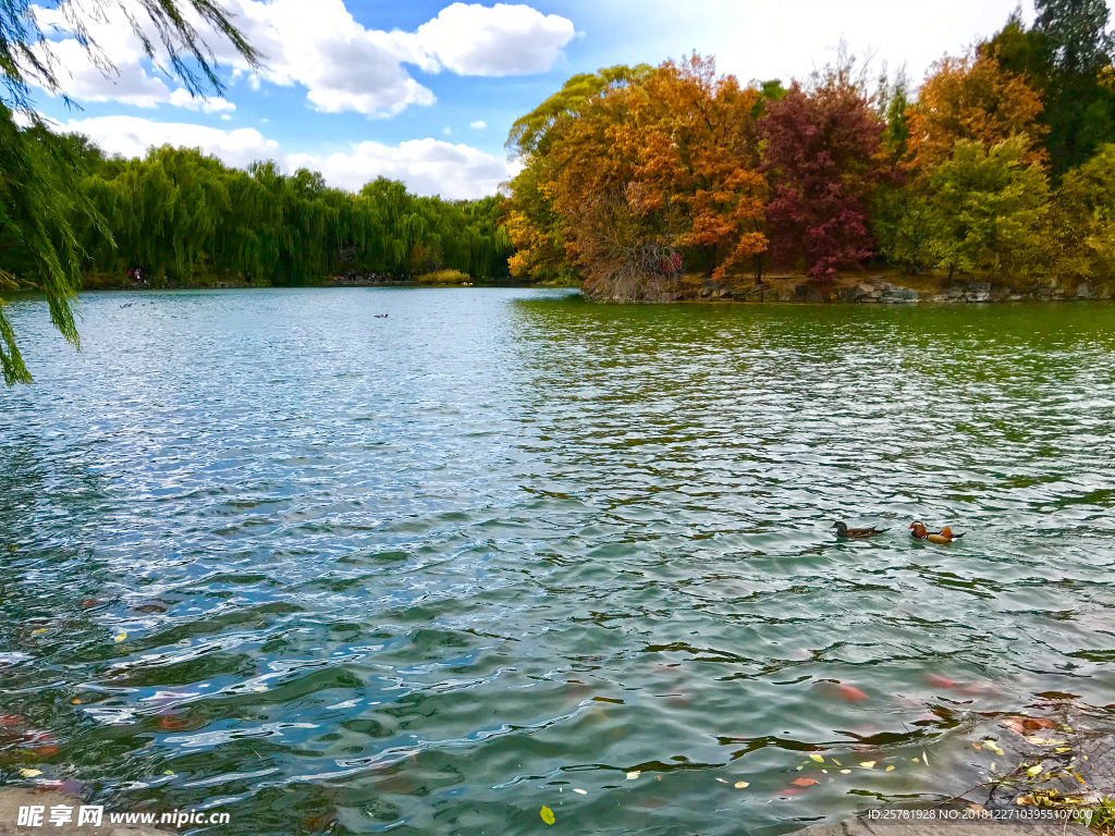风景