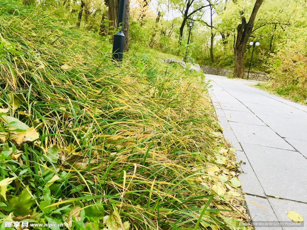 小路