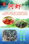 河虾
