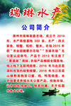 瑞琳水产