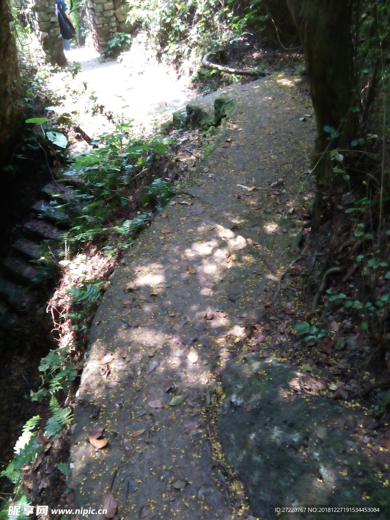 霍山登山步行道