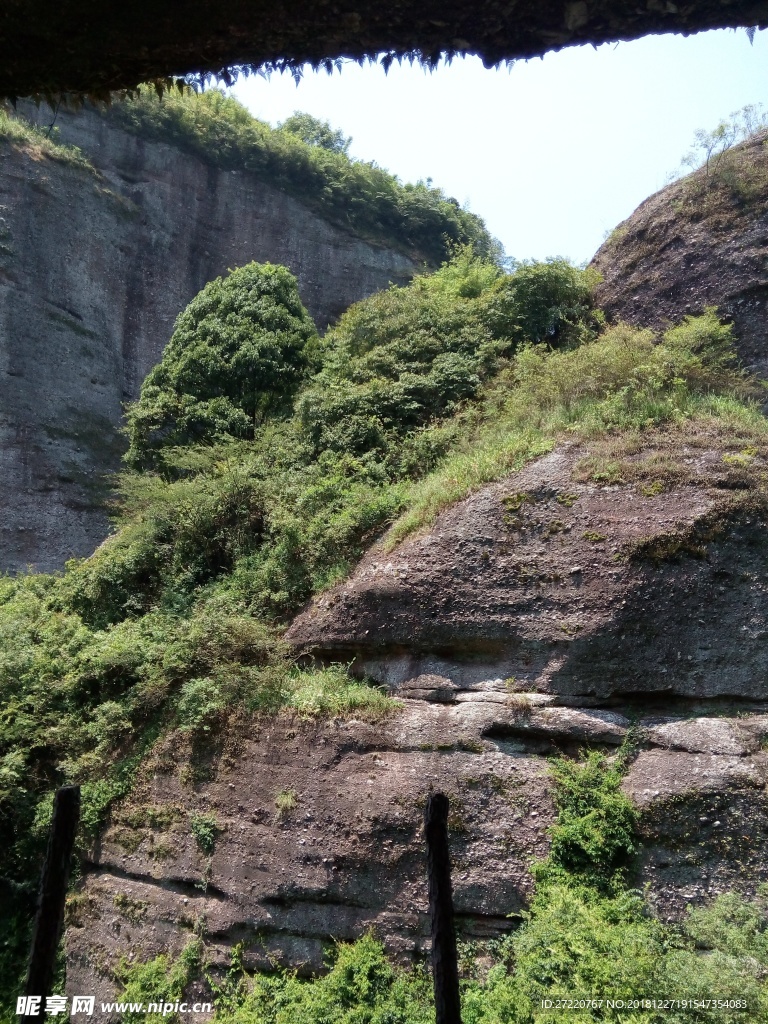 霍山峭壁上的植被