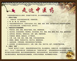 中医药简介