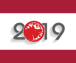 2019新年 海报设计 猪年