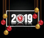 2019新年 海报设计 猪年