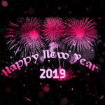 2019新年 海报设计 猪年