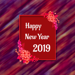 2019新年 海报设计 猪年