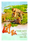 企业文化团队
