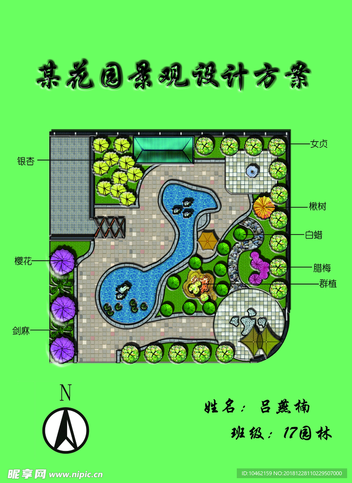 平面 效果 绿化 广场 绿地