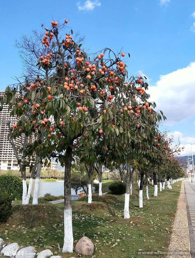 美丽街景