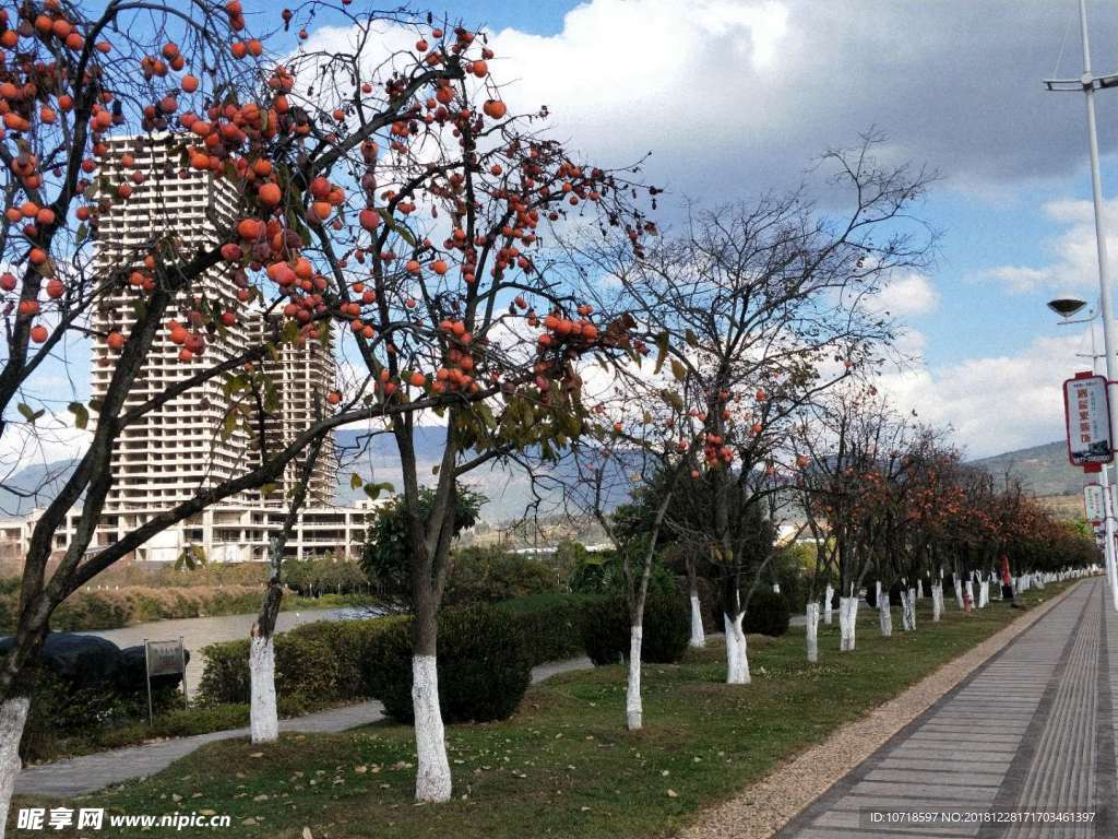 美丽街景