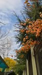 路上风景