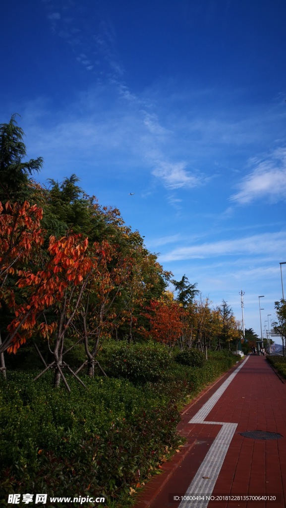 路上风景