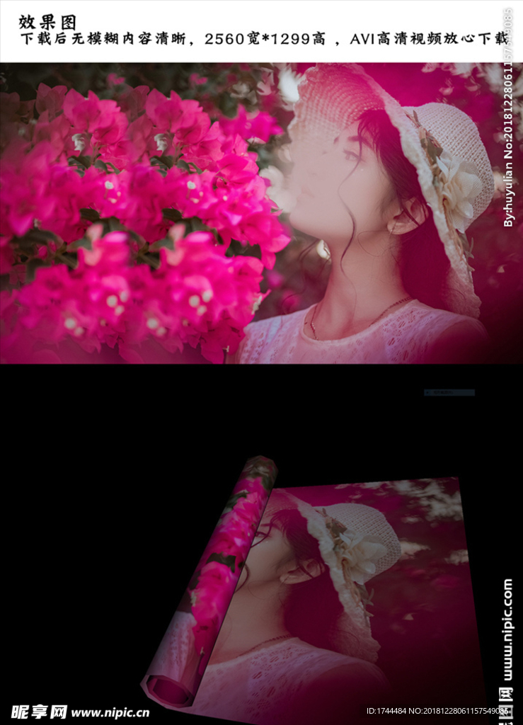 美女图片卷起效果