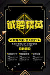 诚聘精英