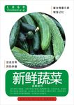 黄瓜海报