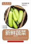 西葫芦海报