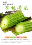 苦瓜海报