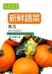 南瓜海报