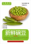 碗豆海报