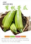 西葫芦海报