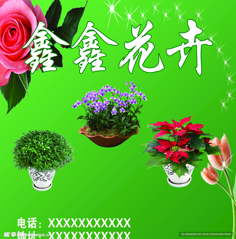 花卉  花园  花圃