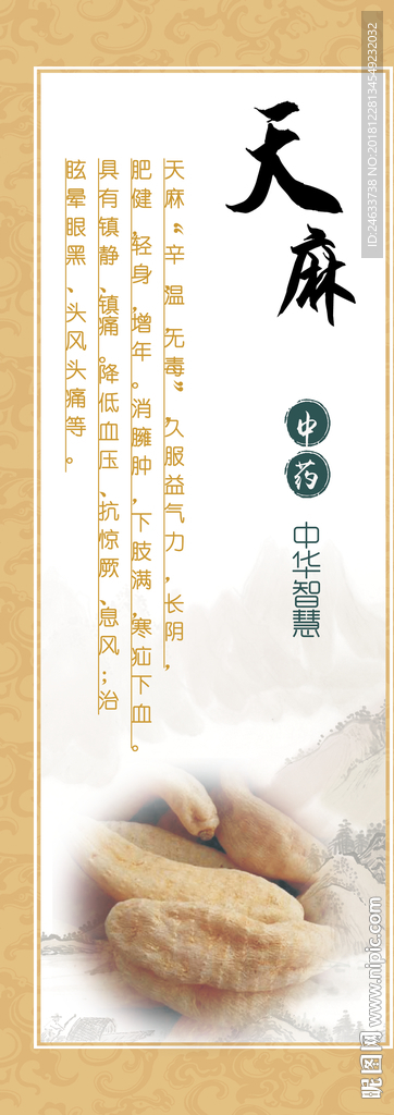 中草药天麻
