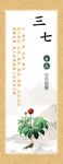 中草药三七