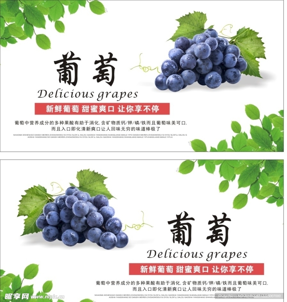 葡萄