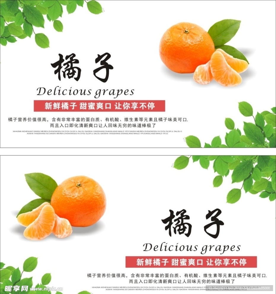 橘子