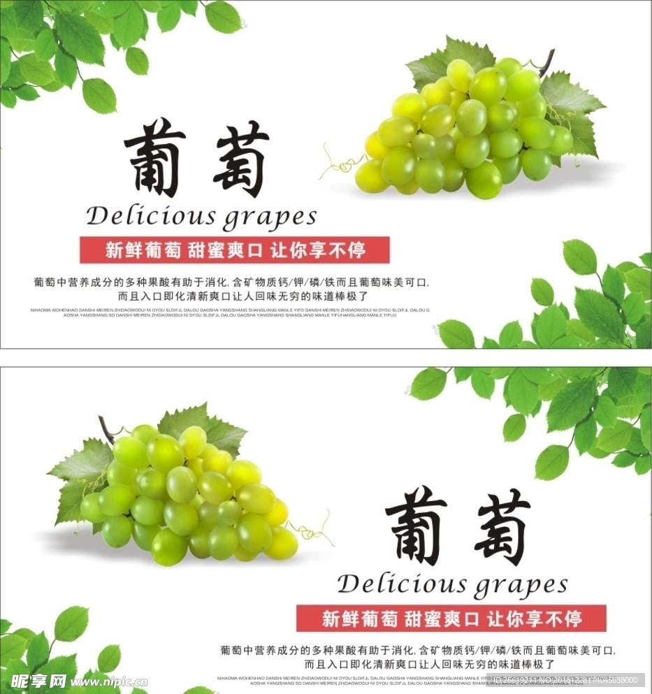 葡萄