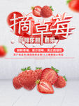 摘草莓