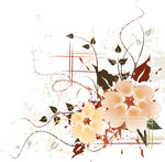 潮流花纹矢量